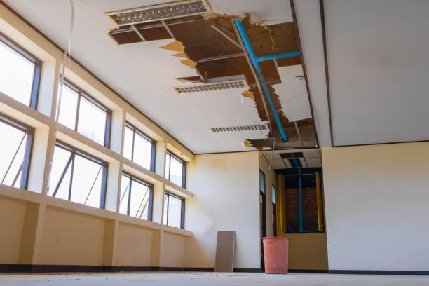 Best Flood damage cleanup  in Leisure Village West, NJ