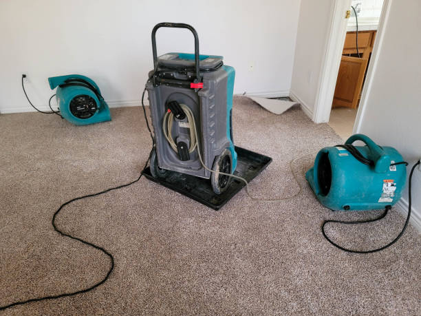 Best Water damage cleanup near me  in Leisure Village West, NJ