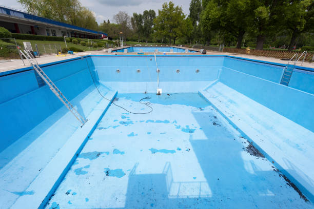 Best Mold removal after water damage  in Leisure Village West, NJ