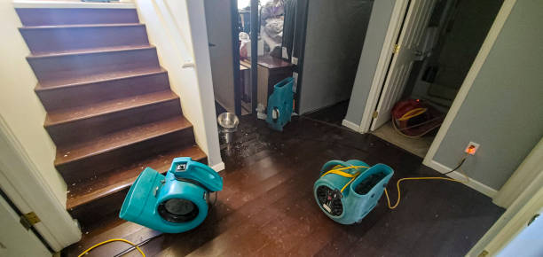 Best Carpet water damage restoration  in Leisure Village West, NJ