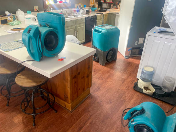 Best Residential water damage restoration  in Leisure Village West, NJ