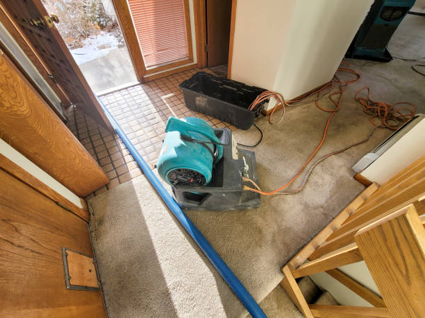 Best Local water damage restoration  in Leisure Village West, NJ
