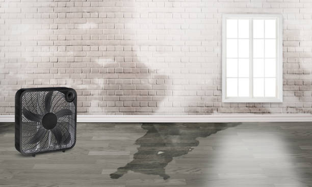  Leisure Village West, NJ Water damage restoration Pros