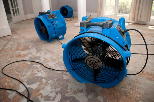 Best Ceiling water damage repair  in Leisure Village West, NJ