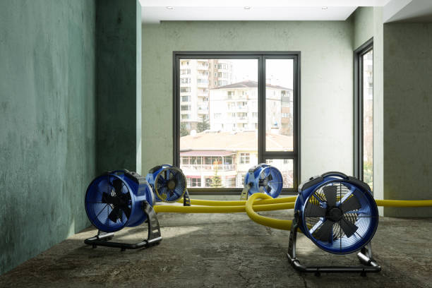 Best Water damage restoration near me  in Leisure Village West, NJ